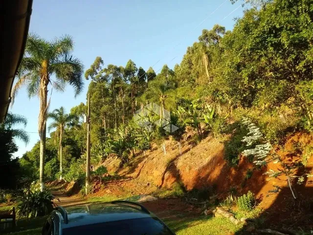 Imagem: Chácara com 5 Hectares no Morro da Canastra