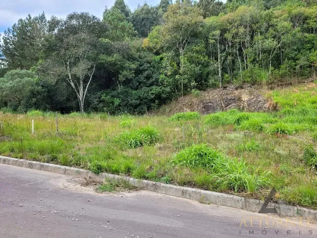 Imagem: Terreno Bairro Desvio Rizzo