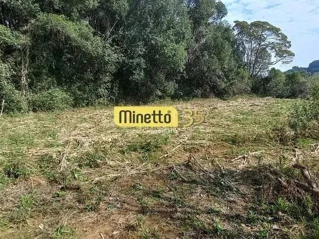 Imagem 3: Venda - Chácara em São Gotardo/ Boca da Serra