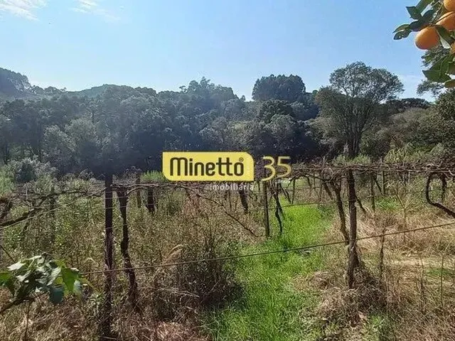 Imagem 2: Venda - Chácara em São Gotardo/ Boca da Serra