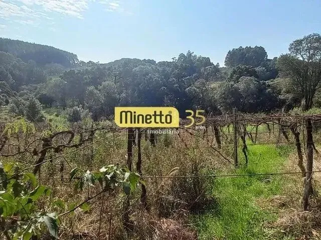 Imagem 8: Venda - Chácara em São Gotardo/ Boca da Serra