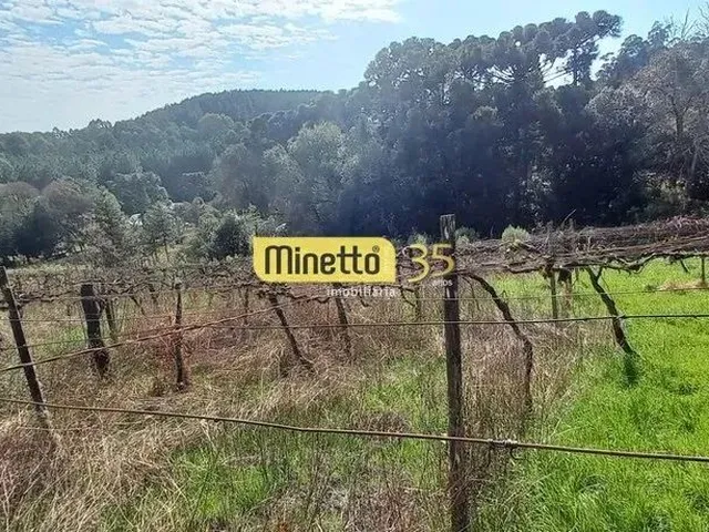 Imagem 5: Venda - Chácara em São Gotardo/ Boca da Serra