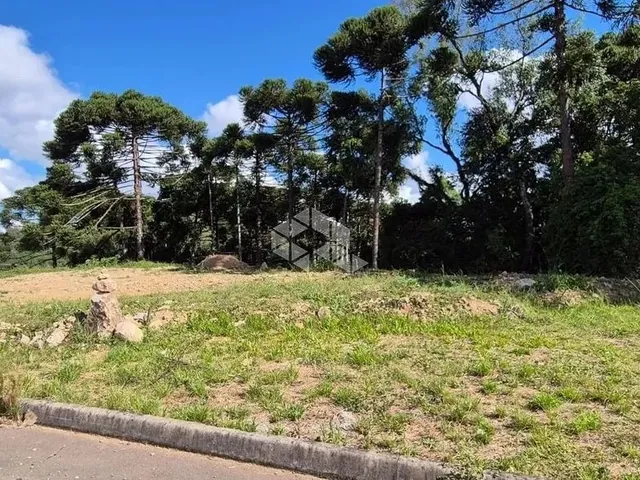 Imagem: Terreno com 546,26M2 no Bairro São Giacomo