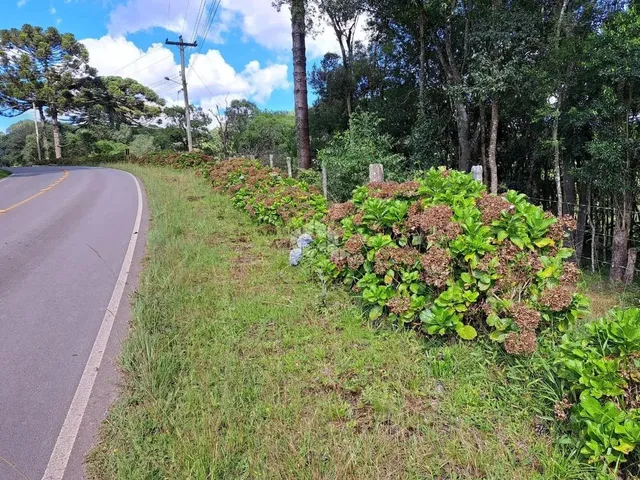 Imagem: Chácara na Linha Vicentina