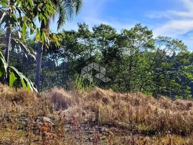 Imagem: Área de Terra com 2.500M2 no Santo Ventoso