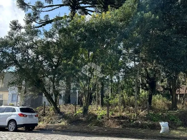 Imagem 4: Terreno Junto Ao Centro de Canela