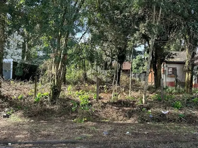 Imagem 11: Terreno Junto Ao Centro de Canela