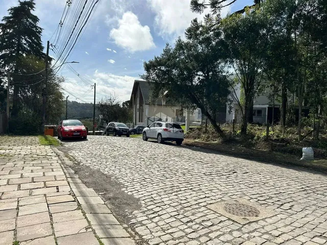 Imagem 7: Terreno Junto Ao Centro de Canela