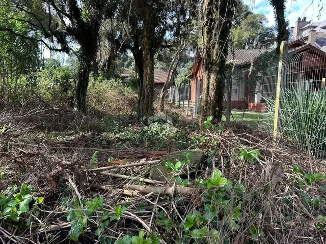 Imagem 9: Terreno Junto Ao Centro de Canela