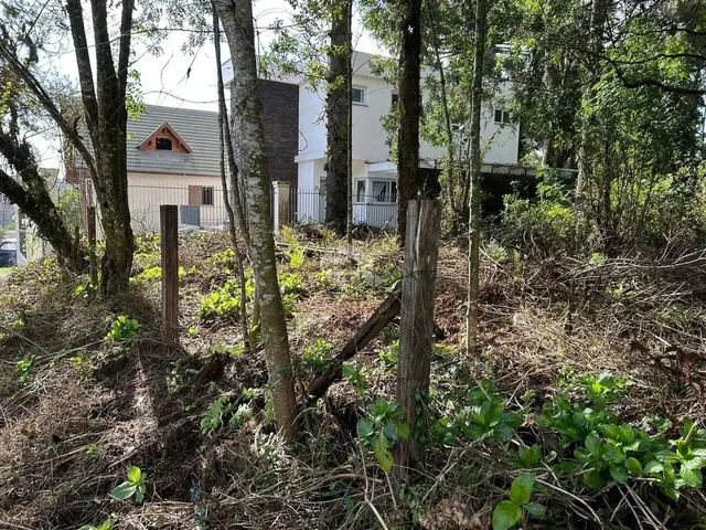 Imagem 10: Terreno Junto Ao Centro de Canela