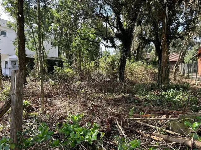 Imagem 3: Terreno Junto Ao Centro de Canela