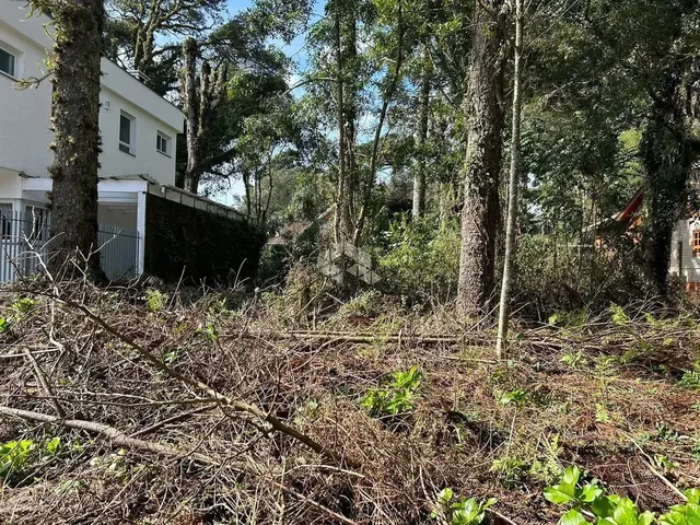 Imagem 5: Terreno Junto Ao Centro de Canela