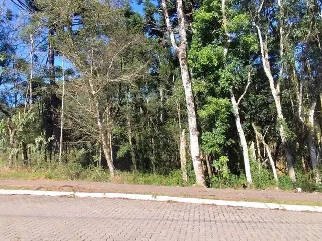 Imagem 1: Terreno para Venda em Nova Petrópolis, Linha Imperial