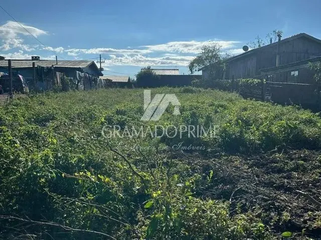 Imagem 1: Terreno Plano 10 X 42 Escriturado