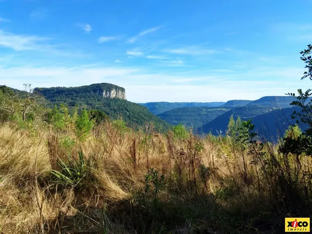 Imagem 1: Sítio / Chácara para Venda em Nova Petrópolis, Linha Brasil Fundos