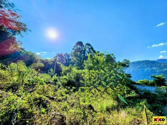 Imagem 1: Sítio / Chácara para Venda em Nova Petrópolis, Linha Riachuelo