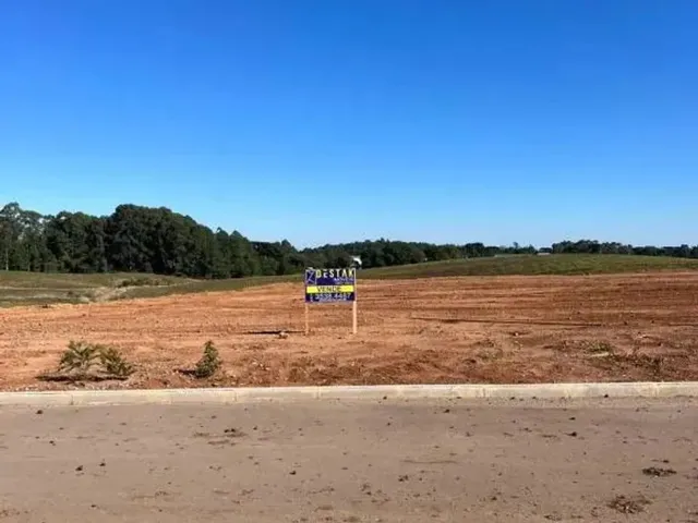 Imagem: Terreno Linha Palmeiro Farroupilha