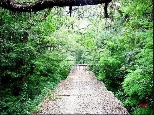 Imagem: Terreno no Bairro Jardim Europa em Erechim