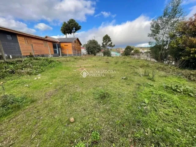 Imagem: Terreno À Venda no Bairro Dante - Canela/Rs