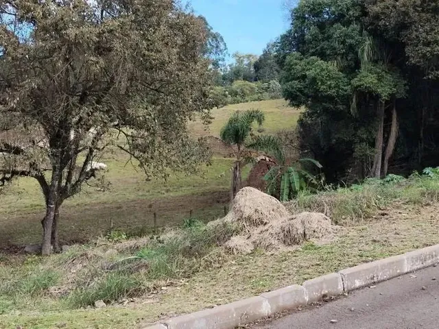 Imagem 7: Terreno para Venda em Picada Café, Centro