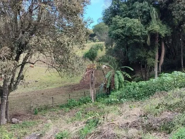Imagem 6: Terreno para Venda em Picada Café, Centro