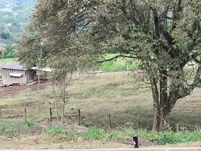 Imagem 4: Terreno para Venda em Picada Café, Centro