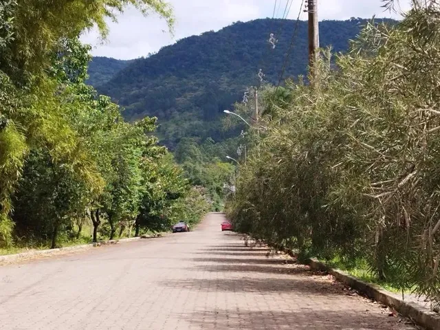 Imagem: Terreno para Venda em Picada Café, São