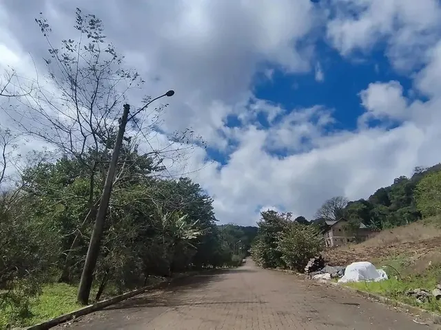 Imagem 6: Terreno para Venda em Picada Café, São João
