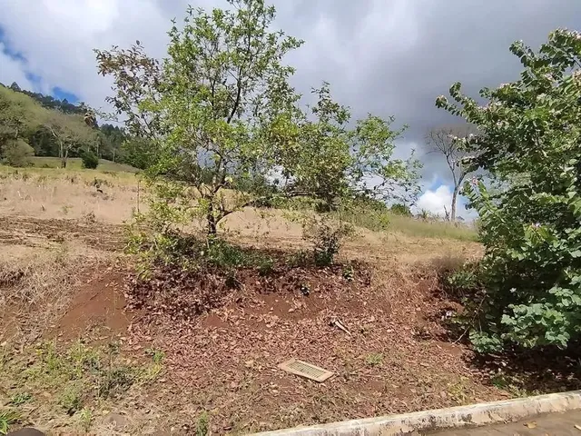 Imagem 2: Terreno para Venda em Picada Café, São João