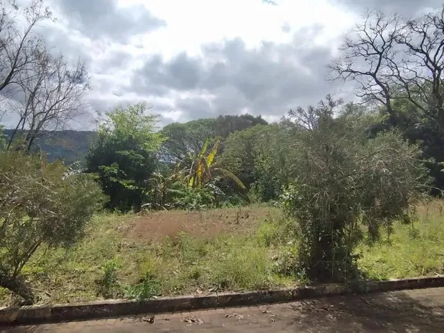 Imagem 5: Terreno para Venda em Picada Café, São João