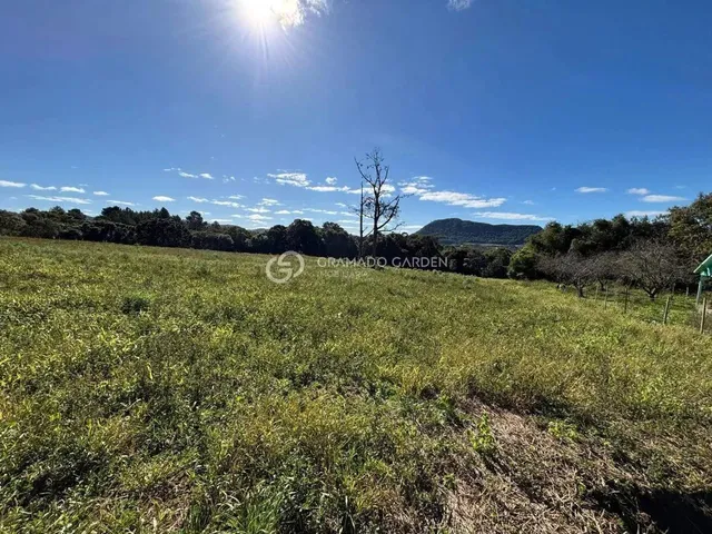 Imagem 12: Sítio À Venda - Serra Grande - Gramado/Rs