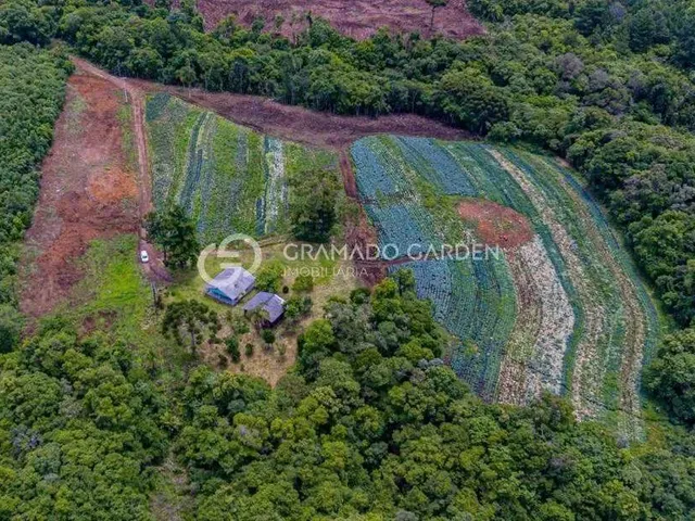 Imagem 2: Sítio À Venda - Serra Grande - Gramado/Rs
