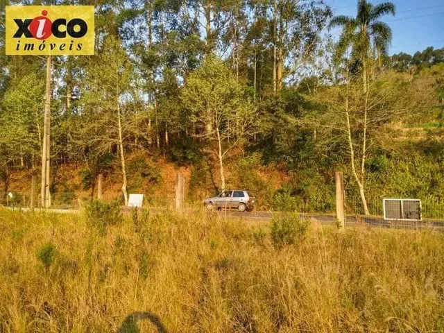 Imagem 6: Terreno para Venda em Picada Café, Lichtenthal