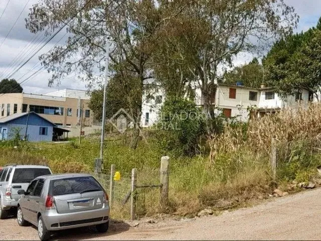 Imagem: Terreno no Bairro Salgado Filho