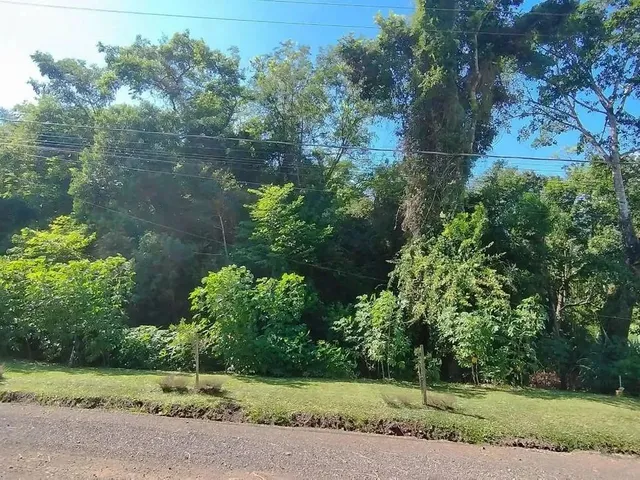 Imagem: Terreno para Venda em Picada Café, Floresta