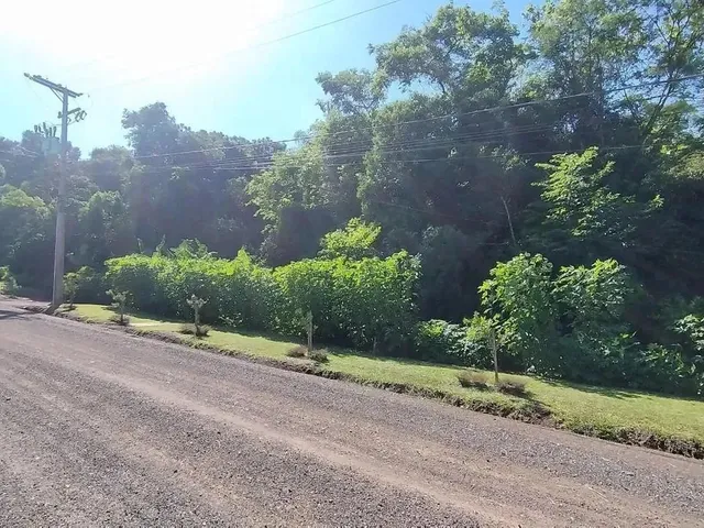 Imagem 7: Terreno para Venda em Picada Café, Floresta