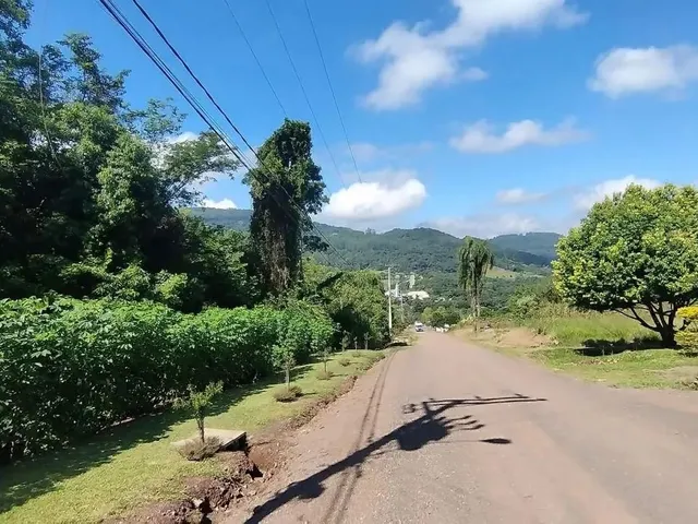 Imagem 5: Terreno para Venda em Picada Café, Floresta