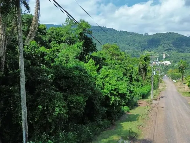 Imagem 8: Terreno para Venda em Picada Café, Floresta