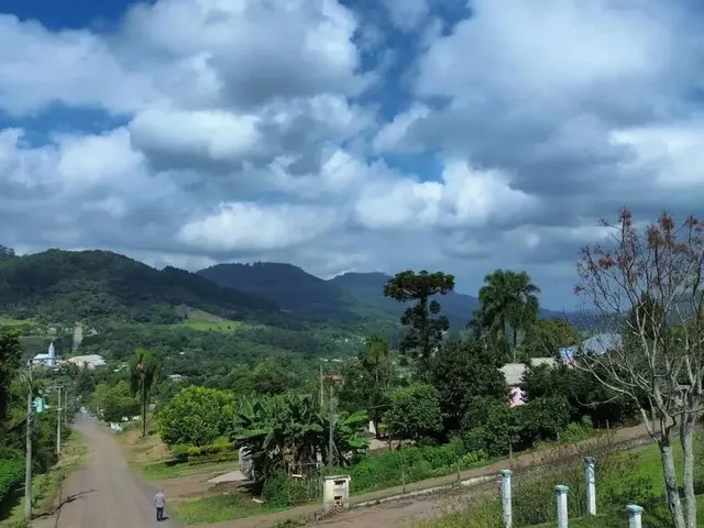 Imagem 2: Terreno para Venda em Picada Café, Floresta