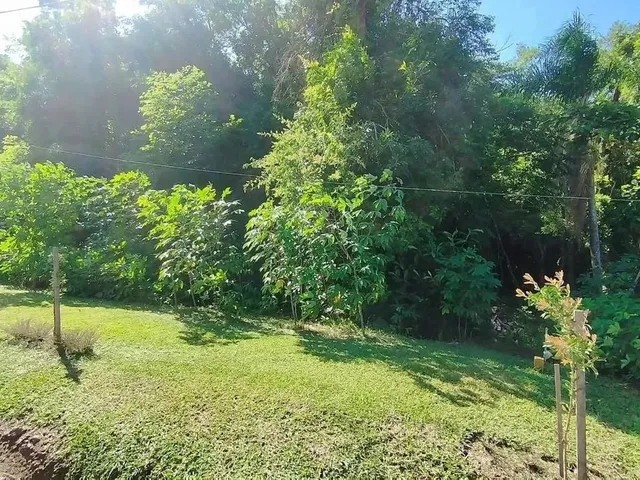 Imagem 3: Terreno para Venda em Picada Café, Floresta