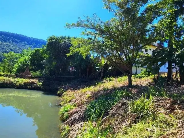 Imagem 2: Sítio / Chácara para Venda em Picada Café, Picada Holanda, 3 Dormitórios, 1 Suíte, 2