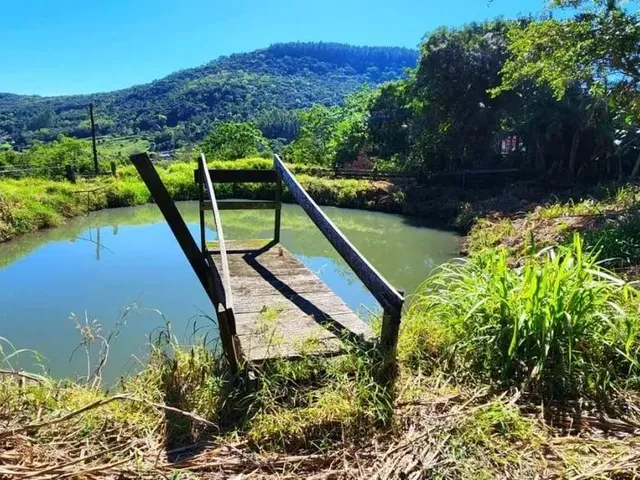 Imagem 15: Sítio / Chácara para Venda em Picada Café, Picada Holanda, 3 Dormitórios, 1 Suíte, 2