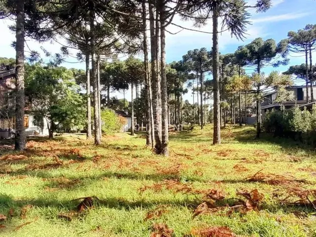 Imagem: Lindo Terreno Plano no Aspen Mountain