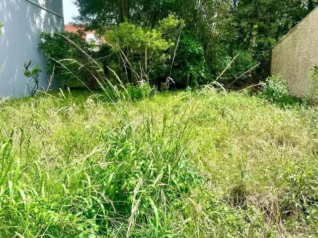 Imagem: Terreno Universitário Caxias do Sul