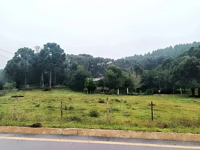 Imagem: Sítio em Canela