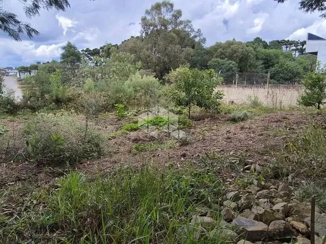Imagem: Terreno Loteamento Primavera em Farroupilha