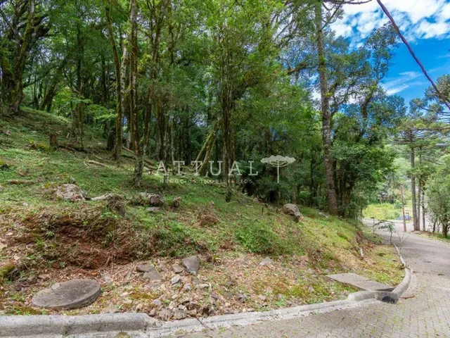 Imagem 1: Terreno Condomínio Pinheiro Grosso