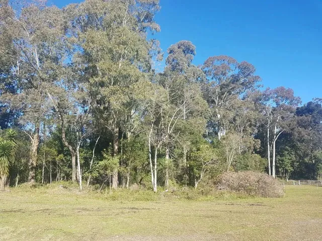 Imagem: Area - Bairro Carniel