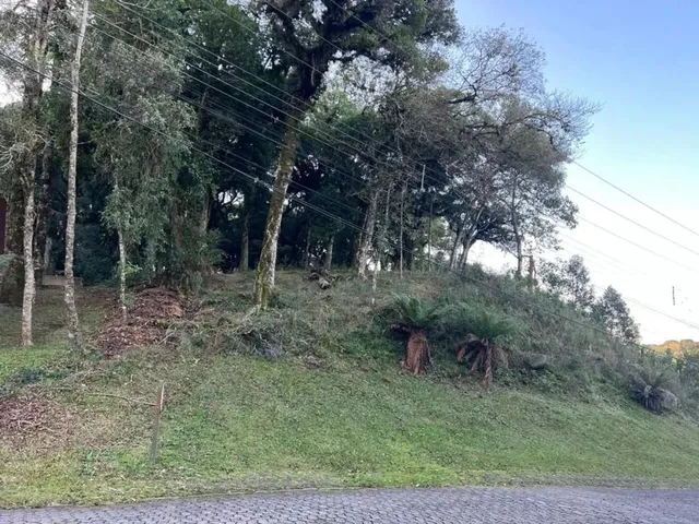 Imagem: Terreno - Bairro Quinta da Serra
