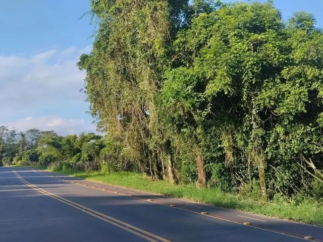 Imagem 1: Sítio / Chácara para Venda em Nova Petrópolis, Canto Ruckert